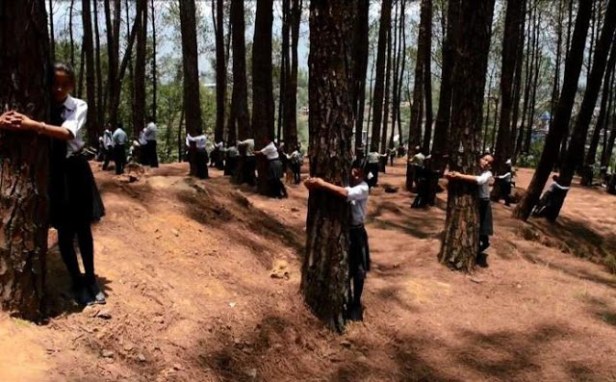 estudiantes-que-abraza-el-arbol-en-katmandu